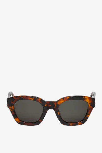 Barrosa Cheetah Tortoise Crudo