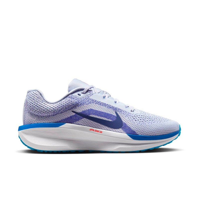 Championes Nike Winflo 11 de Hombre Gris