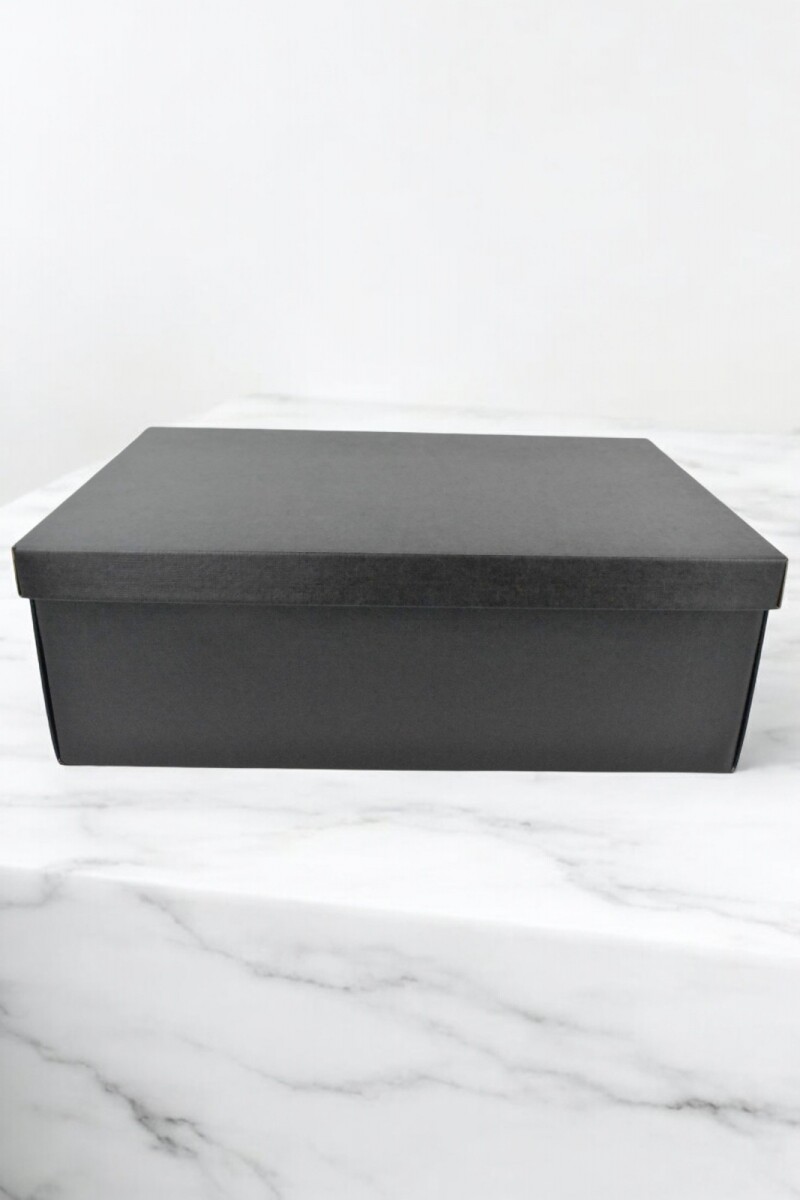 Caja + tapa easy 45,5x32x15 - 17094 - SETA NERO 