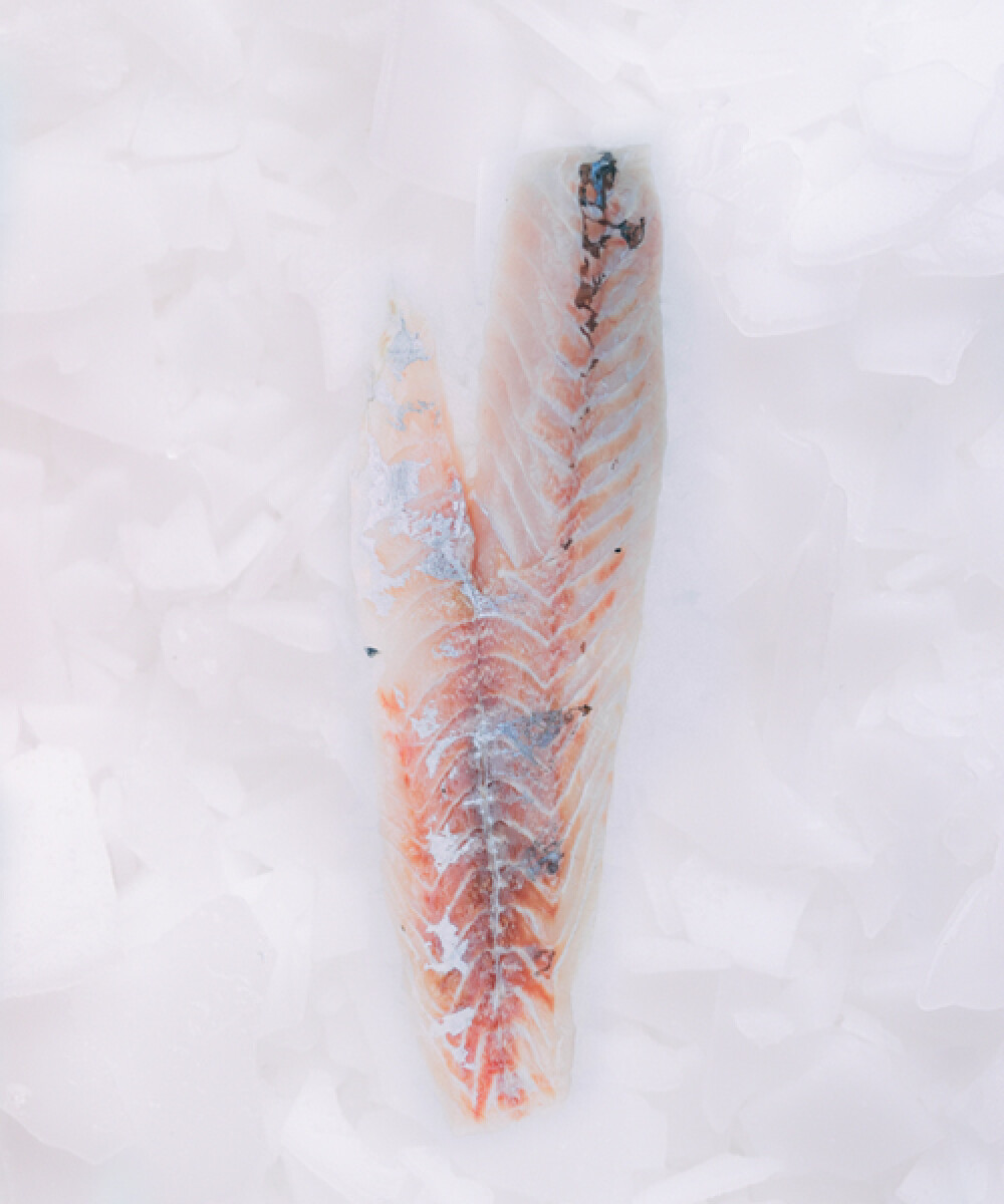 Filete de Pescadilla Calada Fresca - 500g 