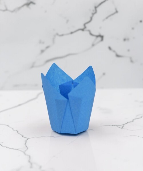 Tulipa 15x5 cm CELESTE