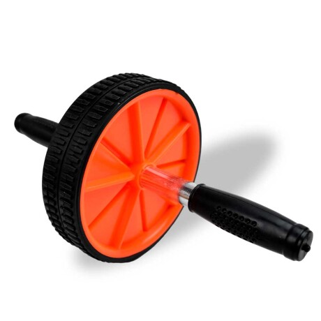 RUEDA EJERCICIOS 17X27CM 25712 Q24 RUEDA EJERCICIOS 17X27CM 25712 Q24