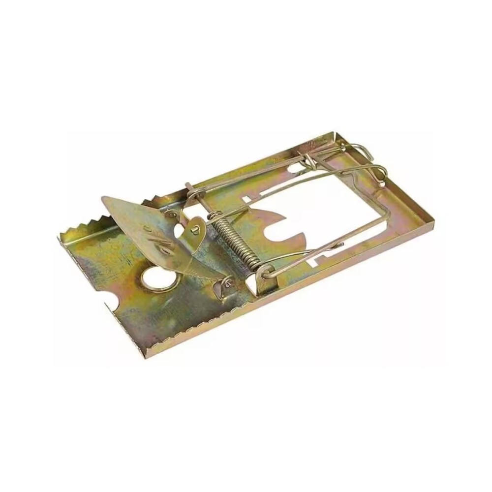 Trampa De Ratón Trampa De Ratón