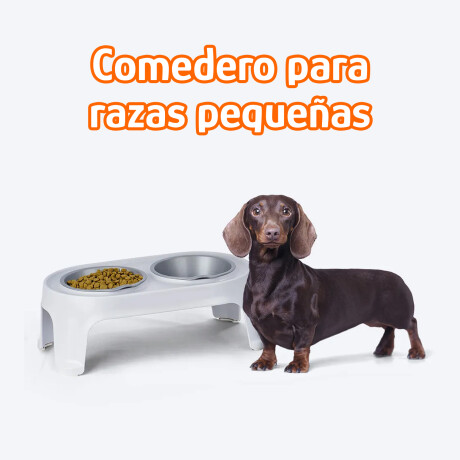 Comedero y Bebedero Elevado para Mascotas Pequeñas Rimax Gris