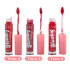 Brillo de labios x2 Brillo De Labios X2