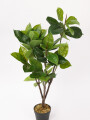 Planta Ficus Lyrata 95cm Color Unico