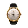 ORIENT FAC0000BW0 doradouniforme