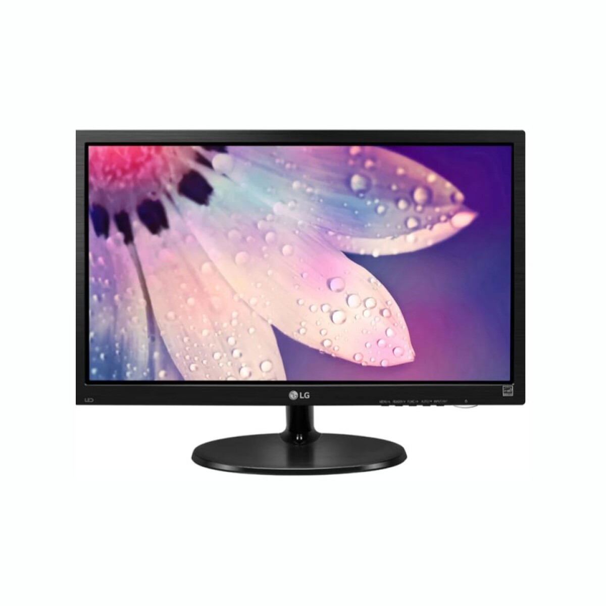 Monitor LG 19M38 19' LCD TFT 75Hz 