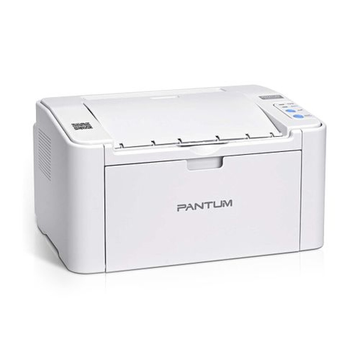 Impresora Laser Pantum P2509w Monocromática Wifi 22ppm - Sin color 