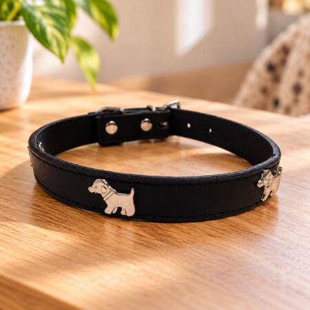 Collar Cinta para Perro con Diseño Dog 3x58cm Collar Cinta para Perro con Diseño Dog 3x58cm