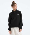 Buzo Evolution Simple Dome Tnf Black
