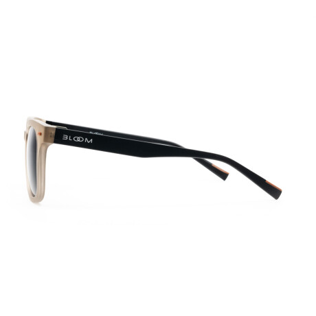 Lentes de Sol Bloom 26302 Hombre Marrón