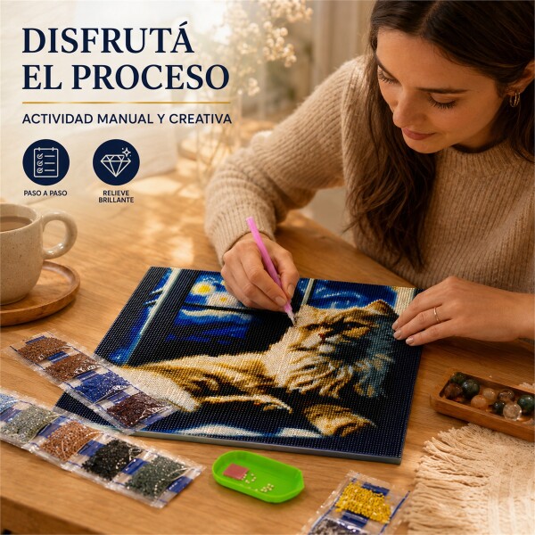 Kit de Pintura Diamante 5D Diamond Painting 30 x 30 cm DISEÑO 1