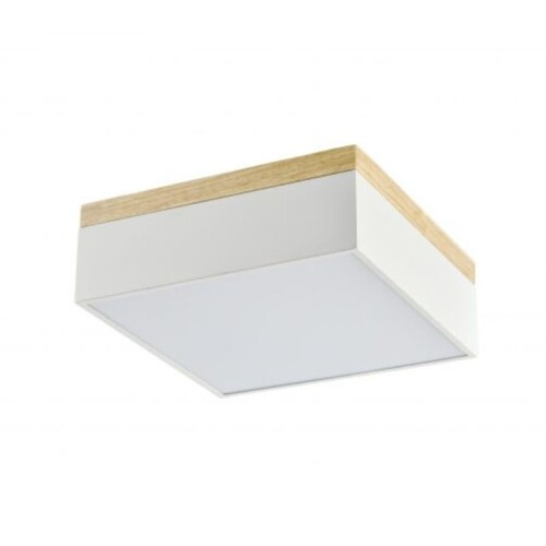Aplique de techo Blanco