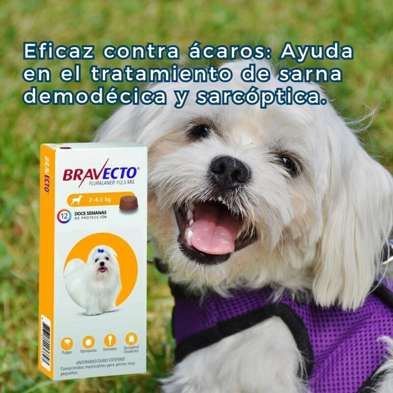 BRAVECTO ANTIPULGAS Y ANTIGARRAPATAS 2 A 4.5 KG