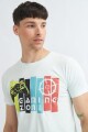 Remera estampada MULTICOLOR