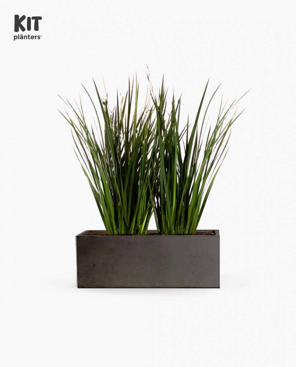 KIT Jardinera - "Gris grafito" 80cm* 30cm* 30cm* C/ Dietes y Sustratos 