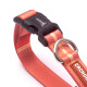 Collar de paseo Cachorreiros Coral Talle S/P
