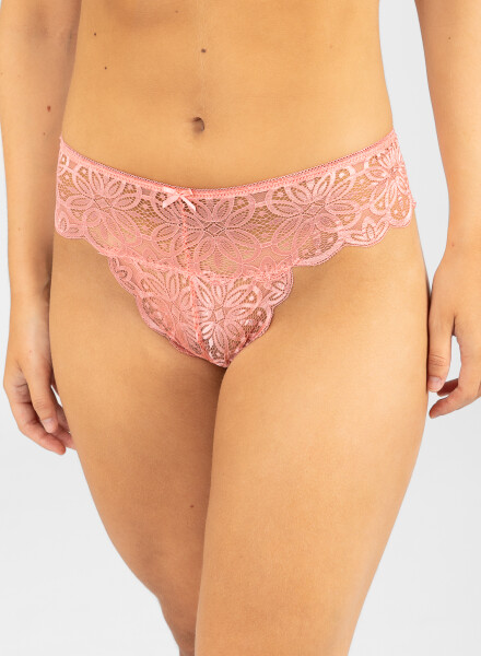 Colaless aster Rosa coral