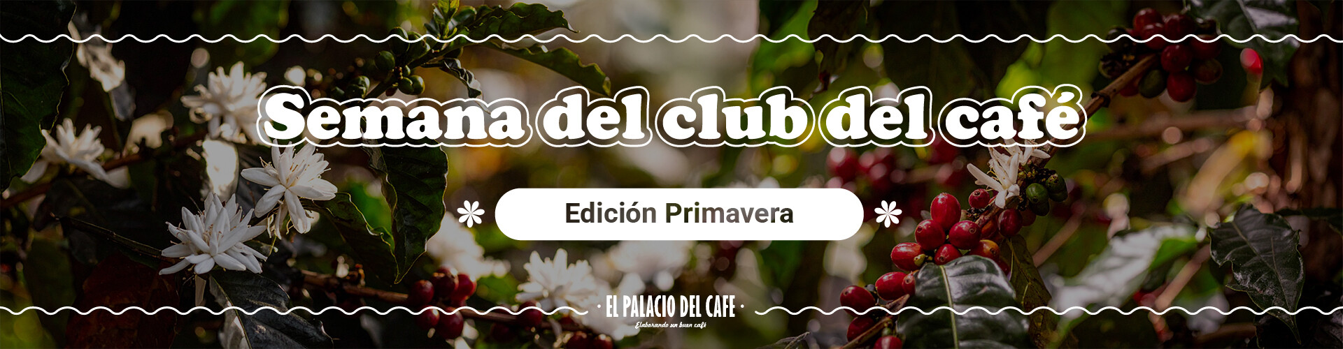 Club del café