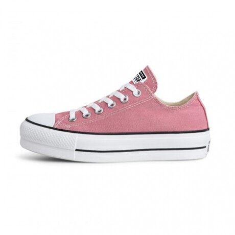 CONVERSE CHUCK TAYLOR ALL STAR SEASONAL Pink