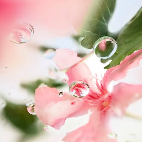 Perfume Ô de Lancôme Over The Top EDT 100ml Perfume Ô de Lancôme Over The Top EDT 100ml