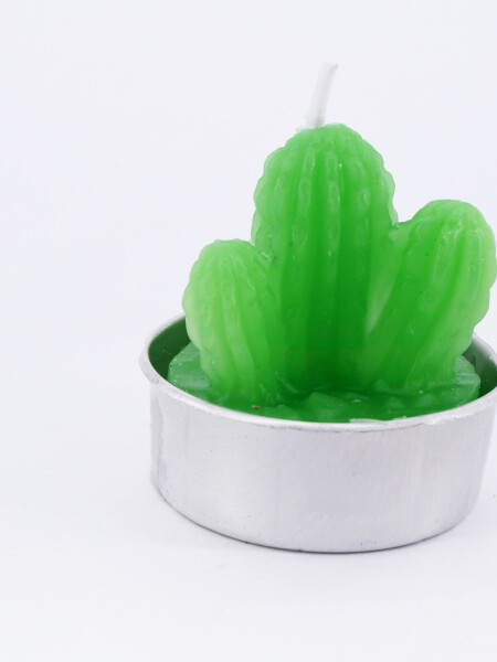 SUCULENTA VELA VARIOS CACTUS VERDE