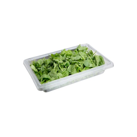 Caja Organizadora de Policarbonato 6.6 Litros Caja Organizadora de Policarbonato 6.6 Litros