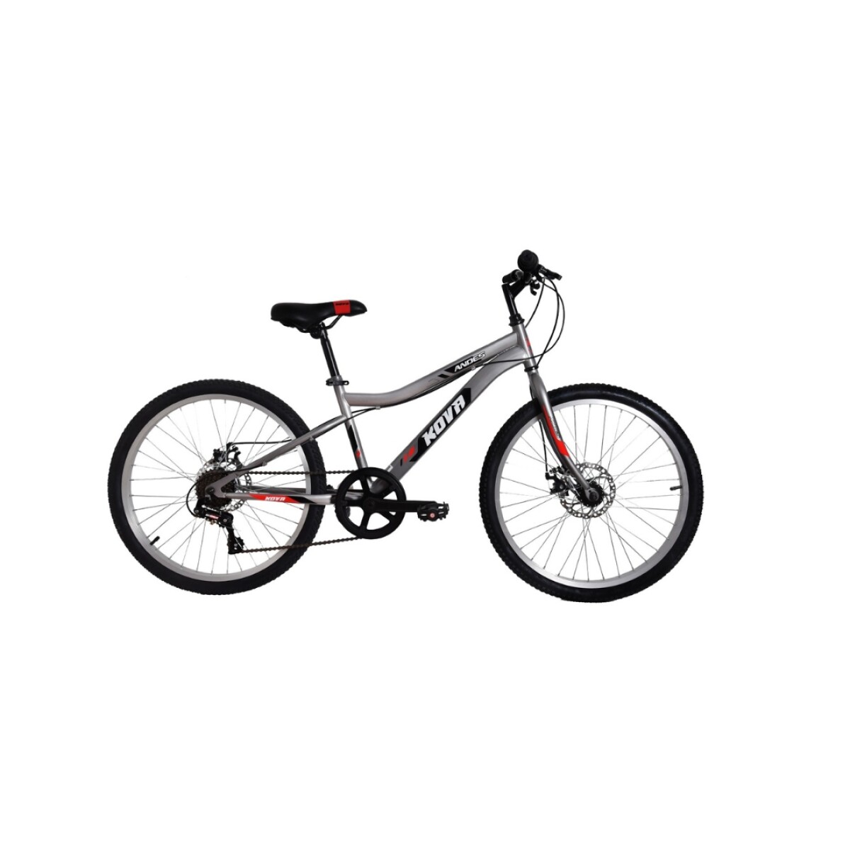 Bicicleta Andes Rodado 24 - Gris 