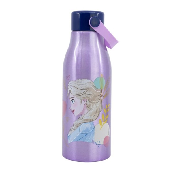 Botella toddler 760ml personajes frozen