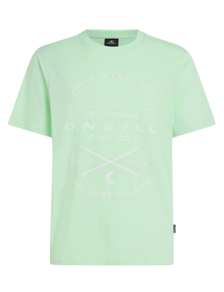 Remera O'Neill Muir - Menta 