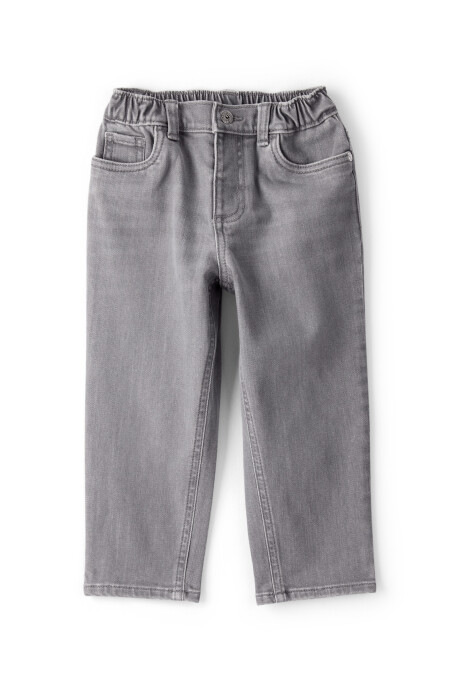 Pantalón jean gris Sin color