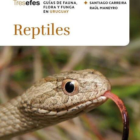 REPTILES REPTILES