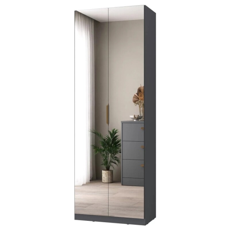 Multiuso 2 Puertas Plus Grafito Con Espejo Multiuso 2 Puertas Plus Grafito Con Espejo