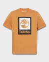 Polera Stack Logo Colored Short Sleeve Tee Hombre P47