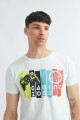 Remera estampada MULTICOLOR