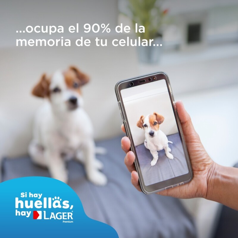 LAGER PERROS CACHORROS 10 KG