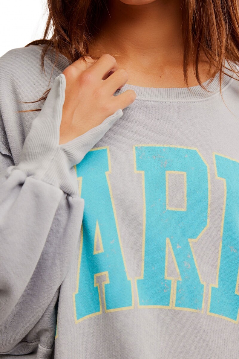 Remera Camden Gris