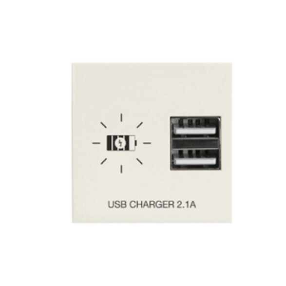 Módulo cargador p/2 USB 2,1A Presta marfil C51622