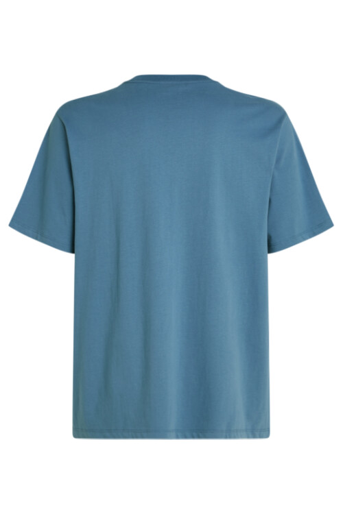 Remera O'Neill The Future Surf Society Azul