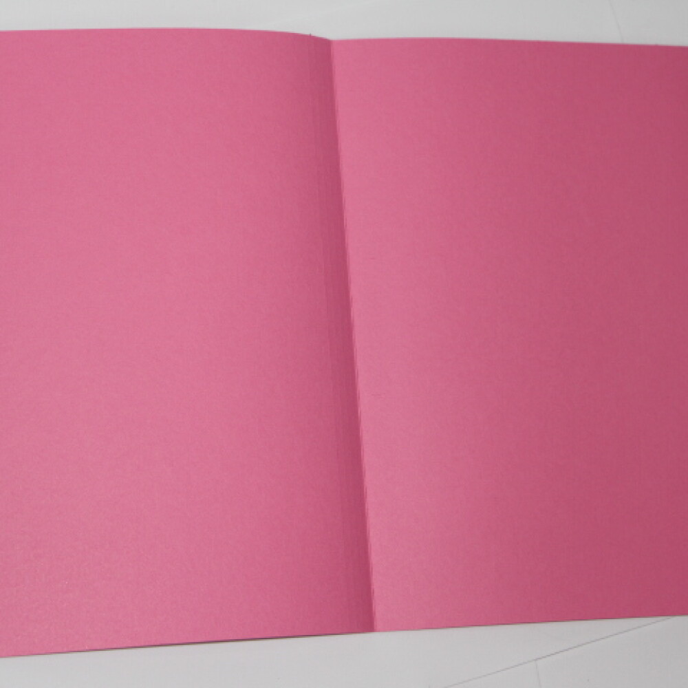 CARPETA PAPIRO PARA FICHERO 20 ROSADO