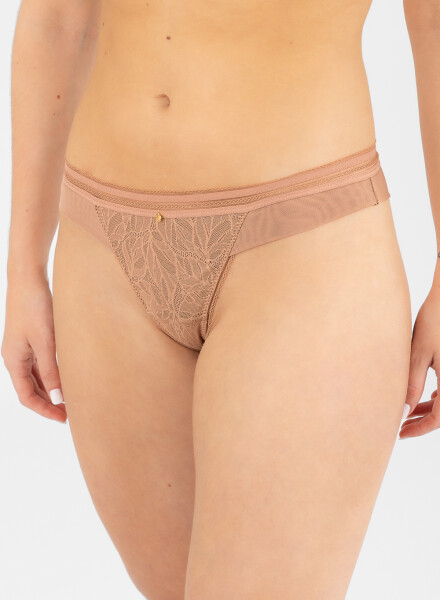 Colaless helecho Antique rose