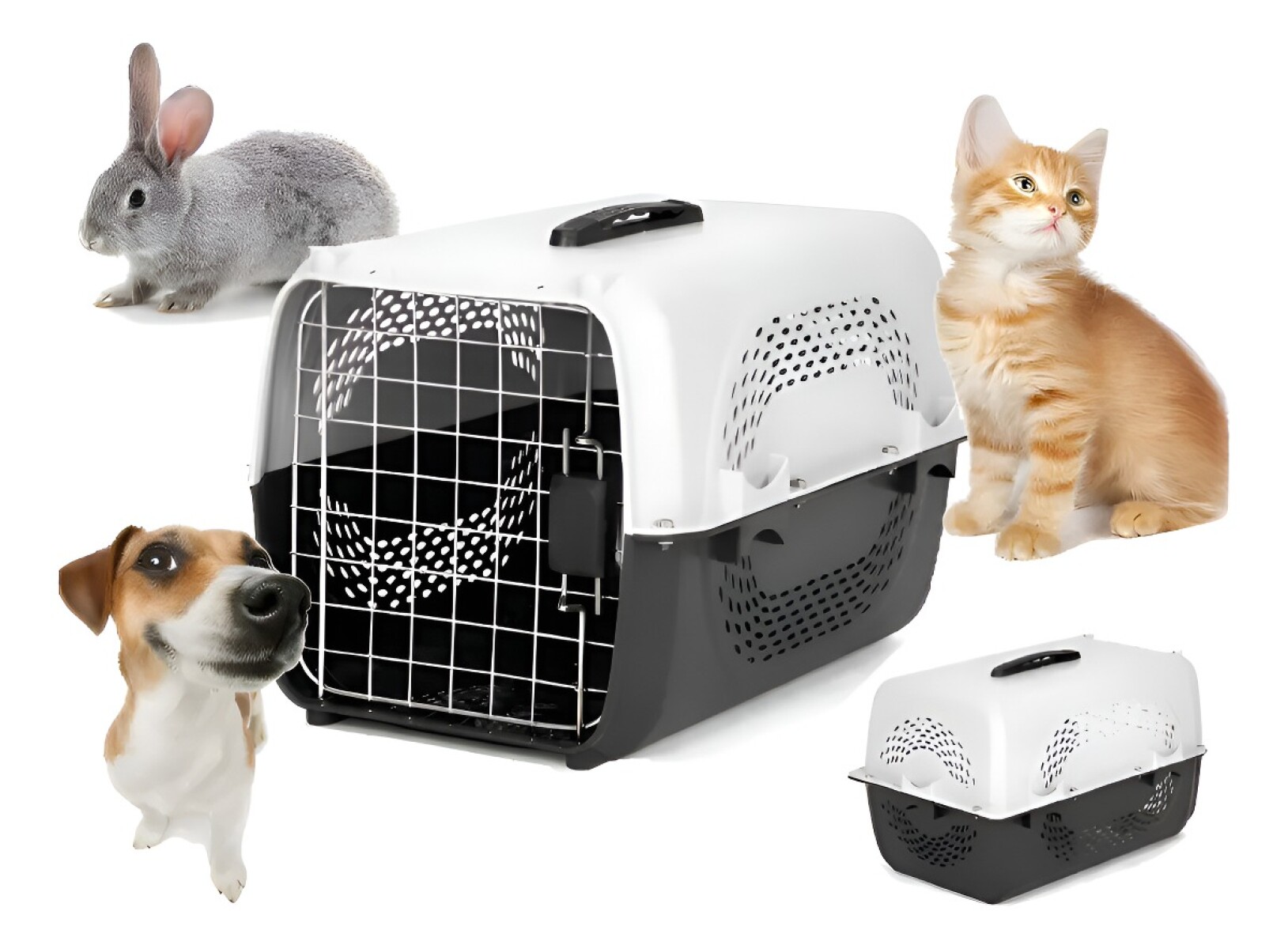 CAJA TRANSPORTADORA PERRO GATO AVION MASCOTAS ANIMALES 58X37 