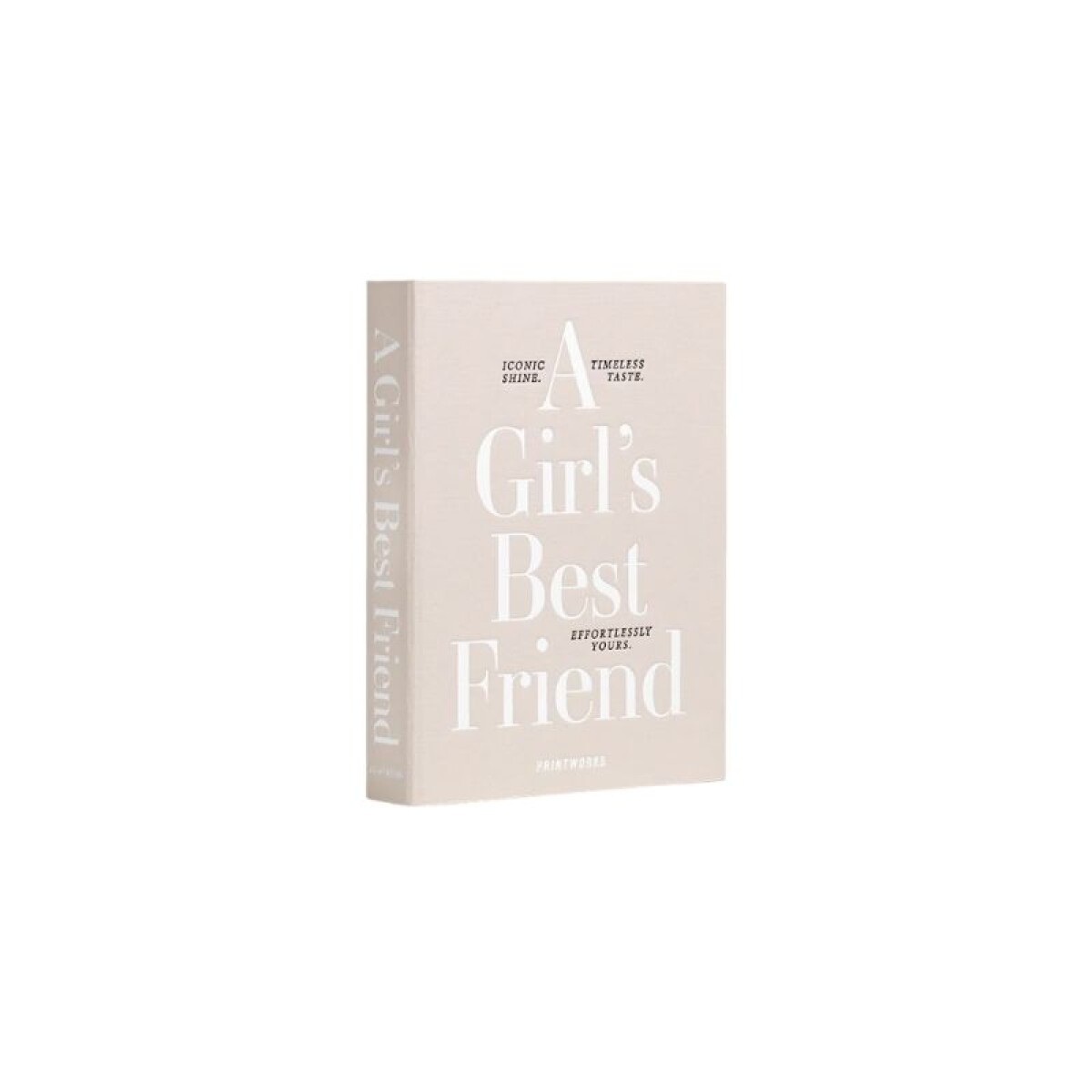 PRINTWORKS JOYERO A GIRL BEST FRIEND 