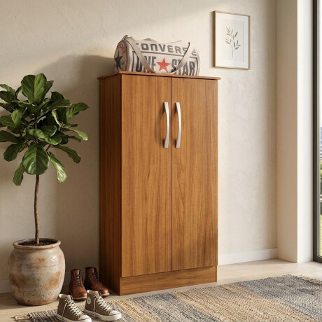 ZAPATERA 2 PUERTAS ORGANIZADOR CON ESTANTES INTERNOS COLOR MADERA