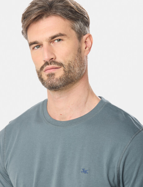 REMERA BÁSICA DE ALGODÓN Petroleo