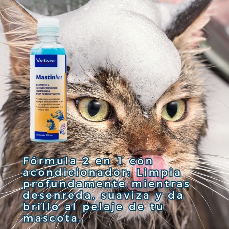 SHAMPOO Y ACONDICIONADOR MASTIN LINE ANTIPULGAS Y GARRAPATAS SHAMPOO Y ACONDICIONADOR MASTIN LINE ANTIPULGAS Y GARRAPATAS
