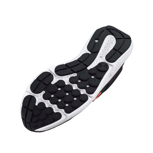 W CHARGED ASSERT VIOLETA 40.5 - UNDER ARMOUR GRIS