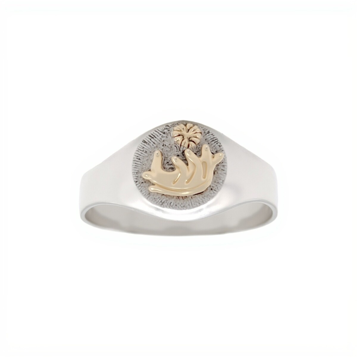 Anillo Profesión Partera-Plata y Oro-Sin Piedra-AP5003 - sinpiedra 