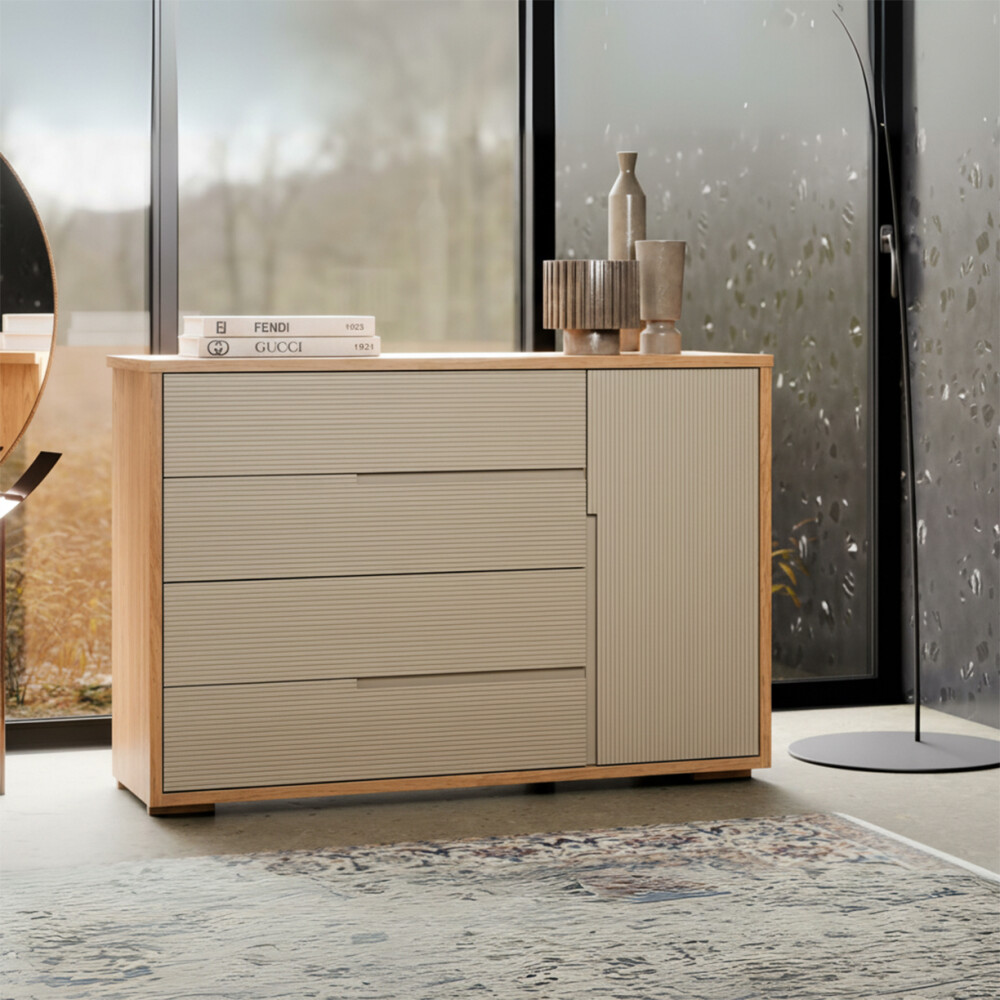 Cómoda Zapatera Concept - 4 cajones 1 puerta Hanover